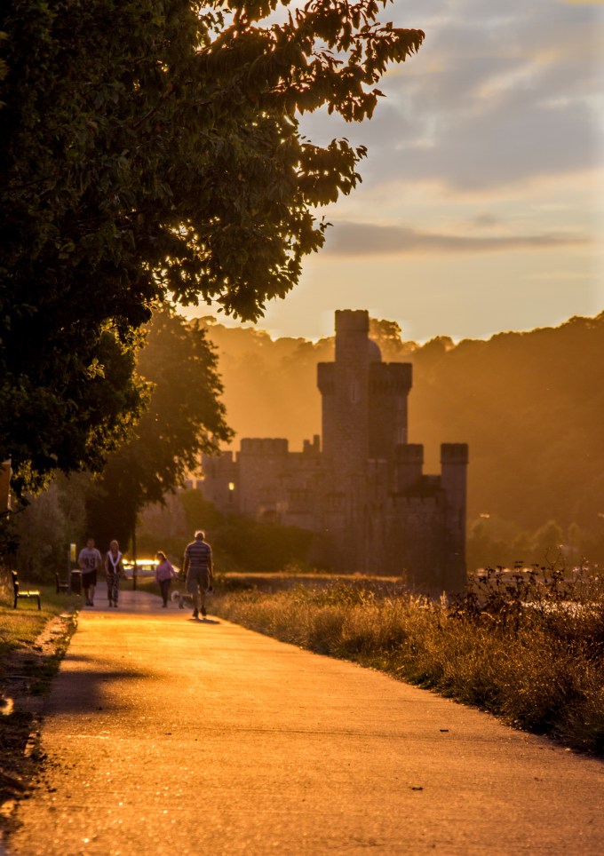 16061485719_b0a73fcc03_o