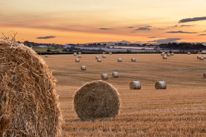 16061786327_08ae46d5da_o