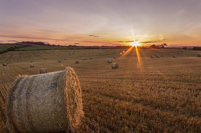 16245778881_476245c9bb_o