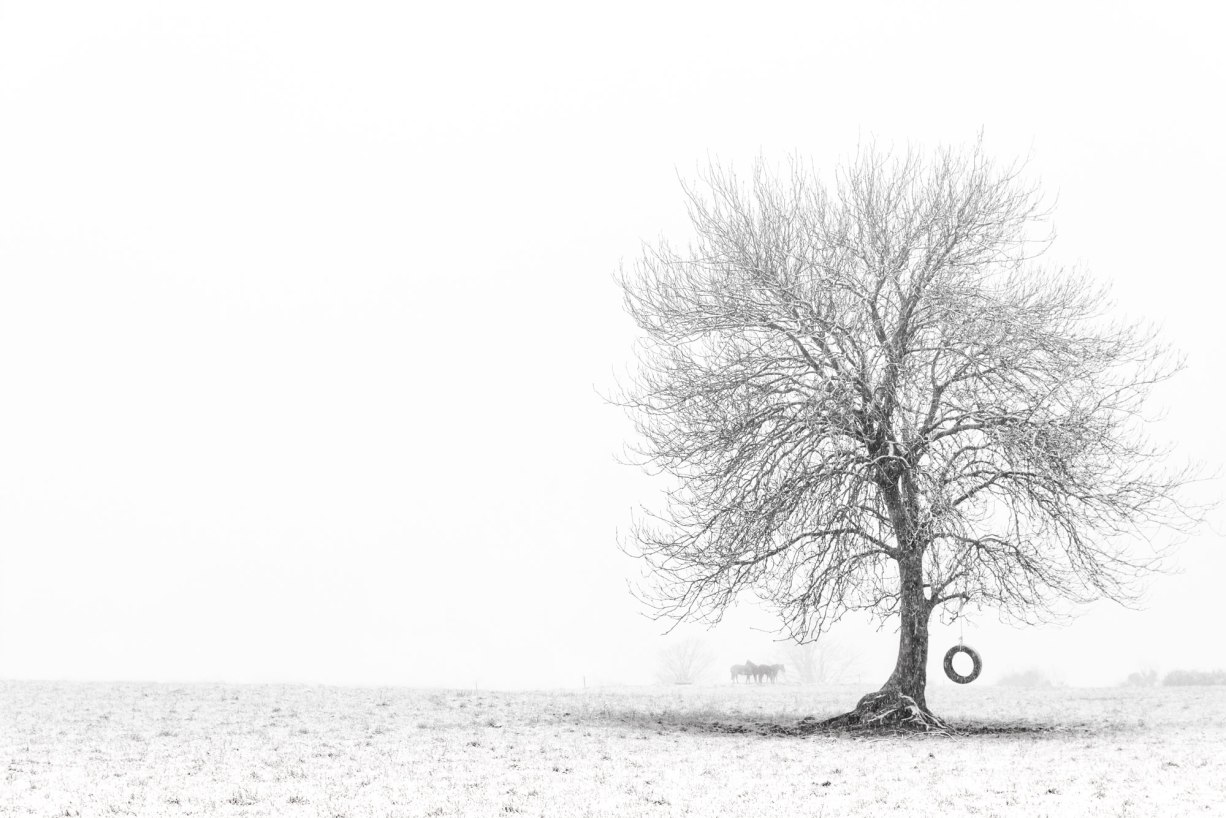 15938325183_d1a5bdcfe0_o