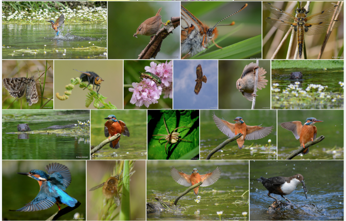 Screen Shot 2015-07-08 at 13.30.51