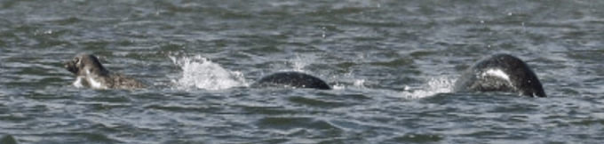 screen-shot-2016-09-22-at-20-45-17